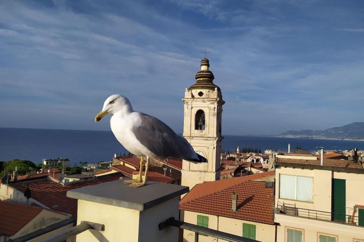 B&B La Terrazza