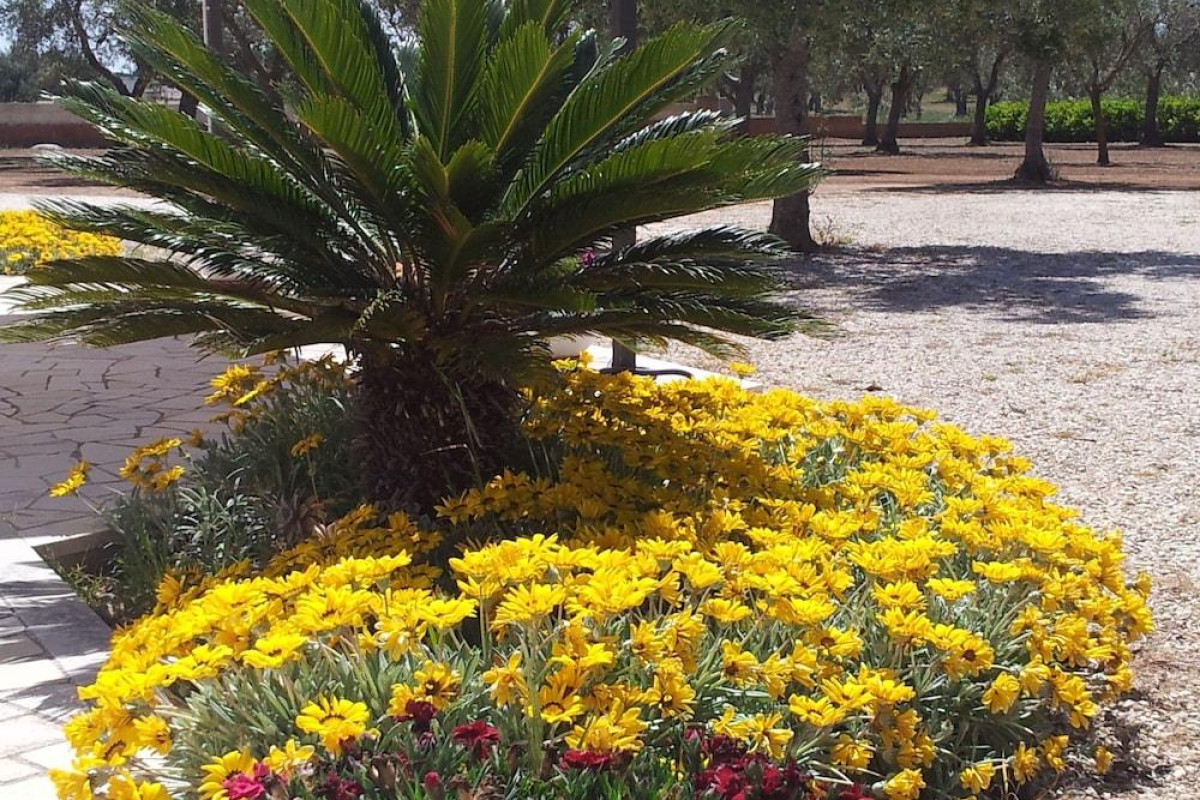B&B Otranto Le Sancinare
