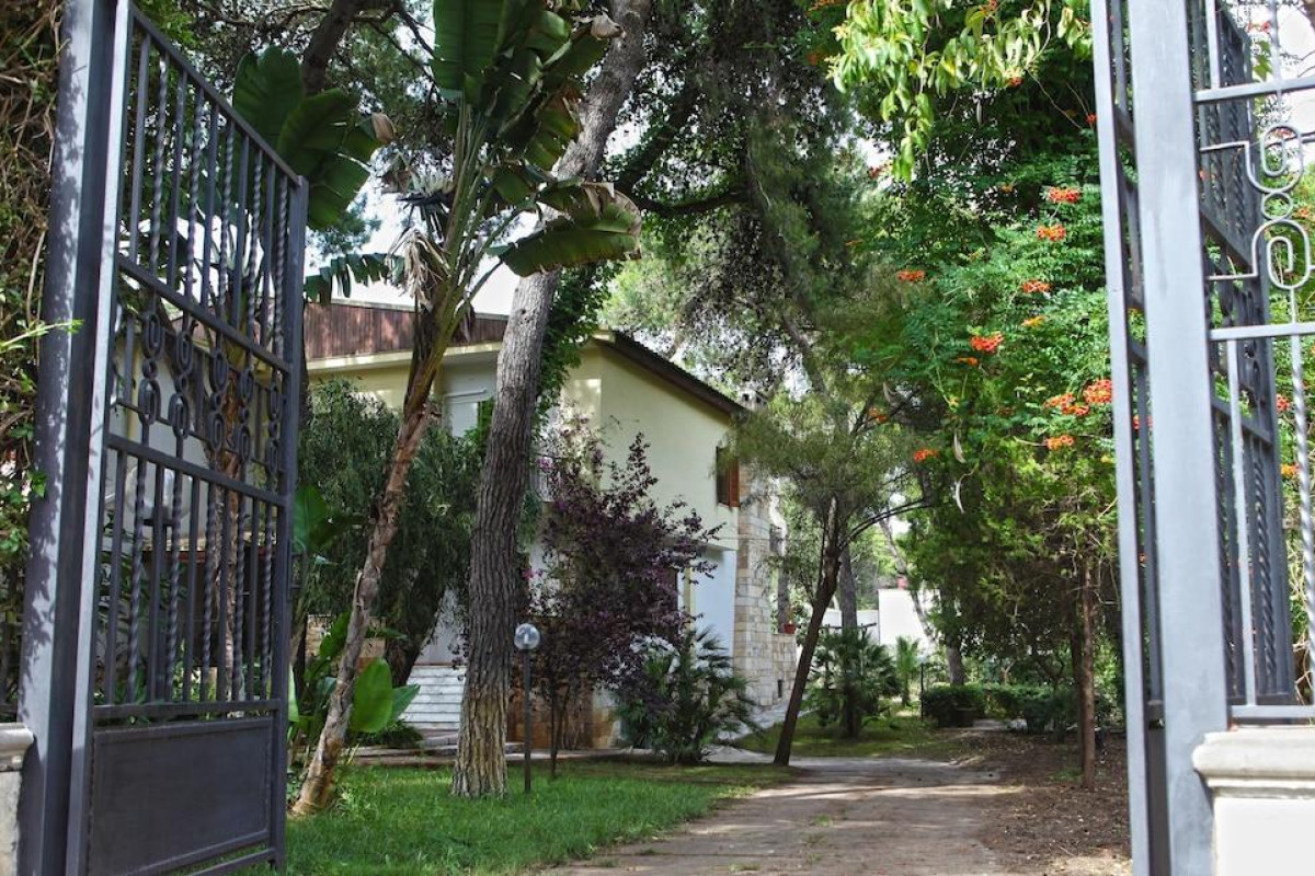 B&B Viale Dei Pini