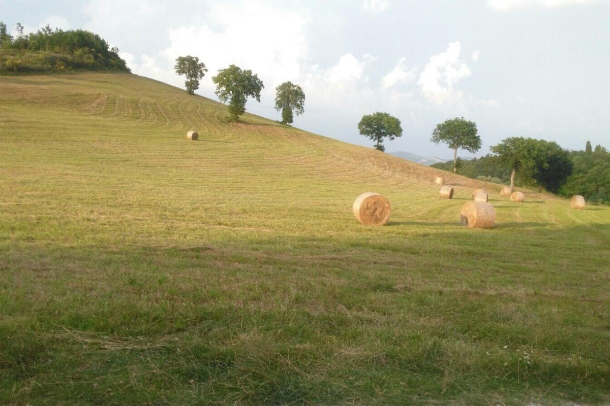 Bed And Breakfast Monticelli