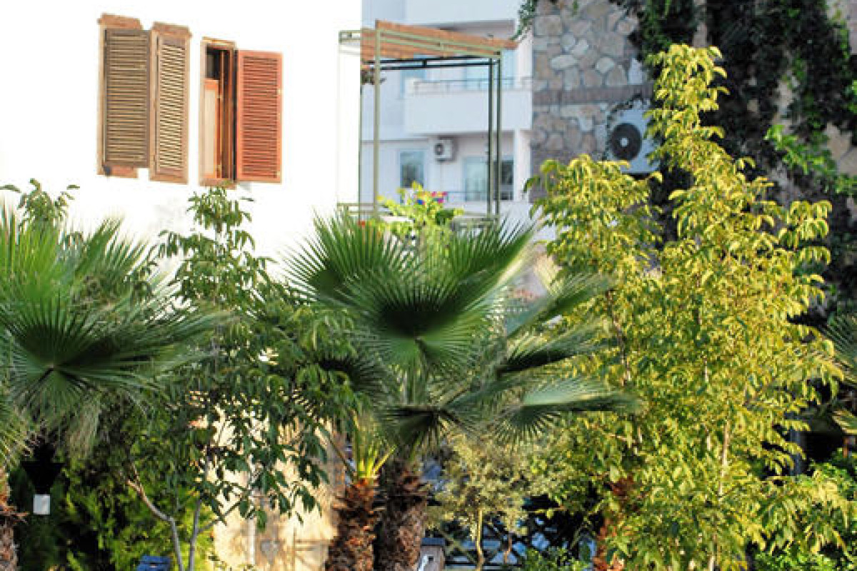BELKON HOTEL