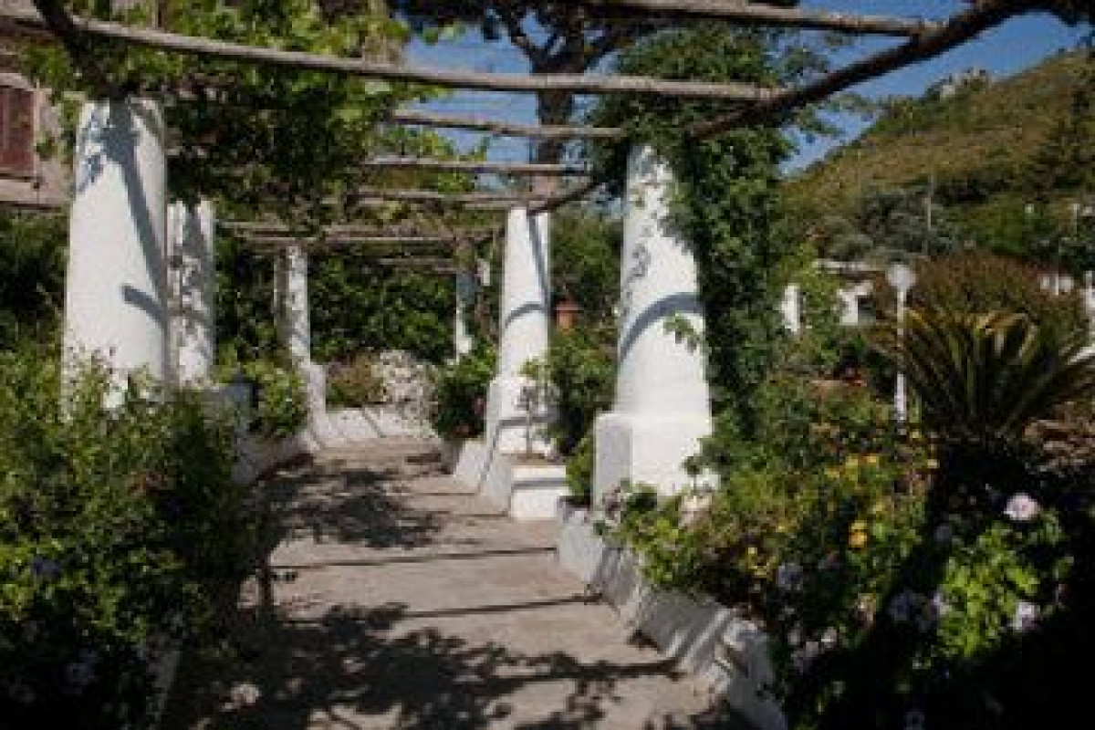 BELLAVISTA