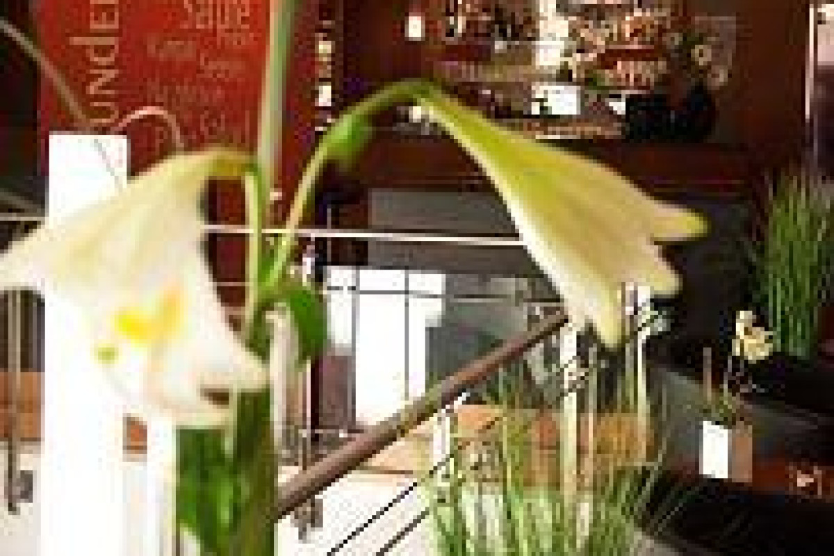 BEST WESTERN PLUS Hotel Bautzen