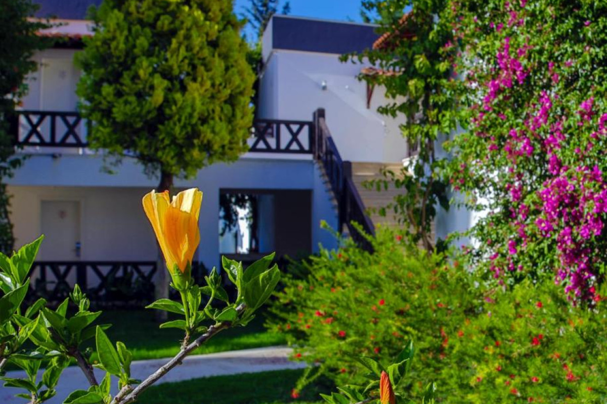 BITEZ GARDEN LIFE