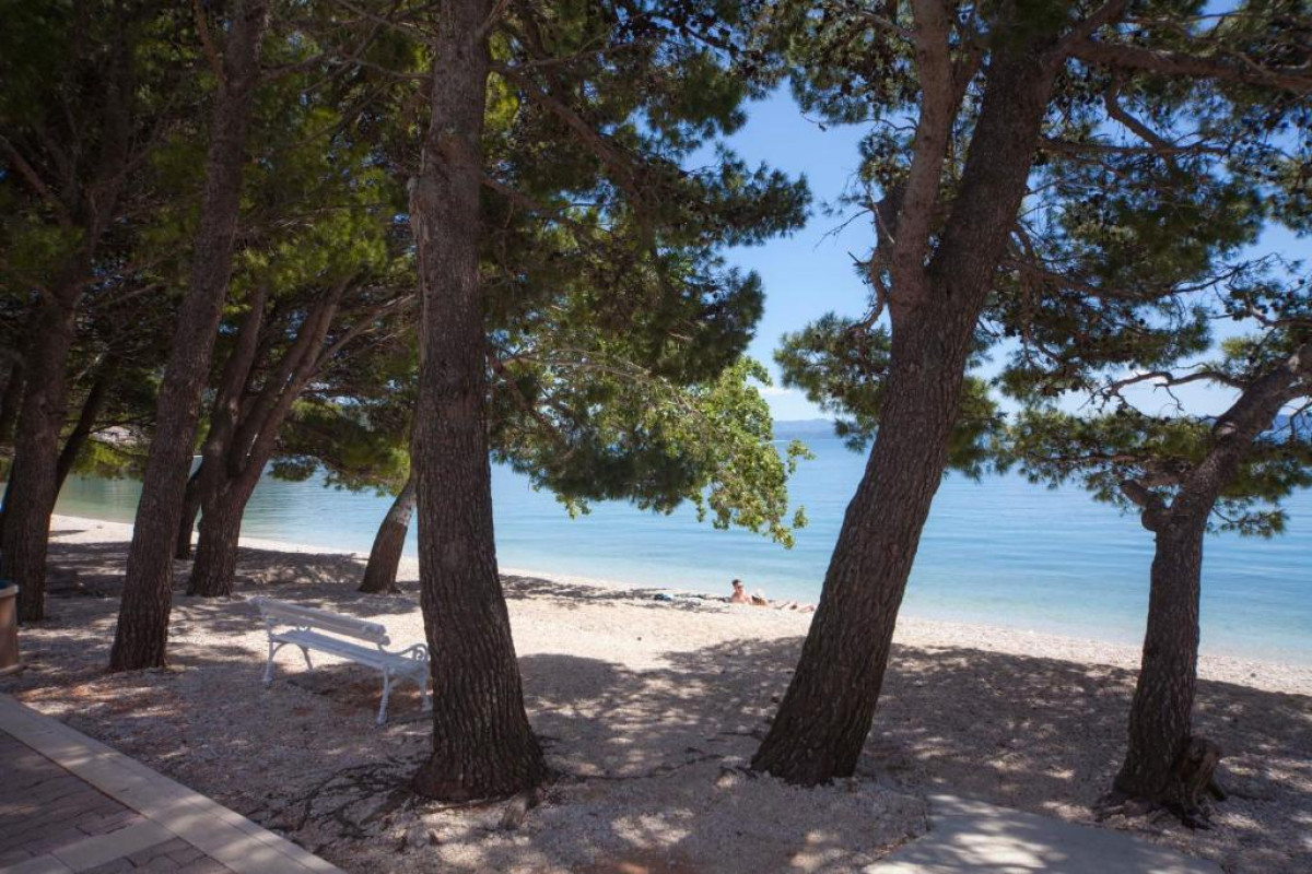 Bluesun Hotel Alga