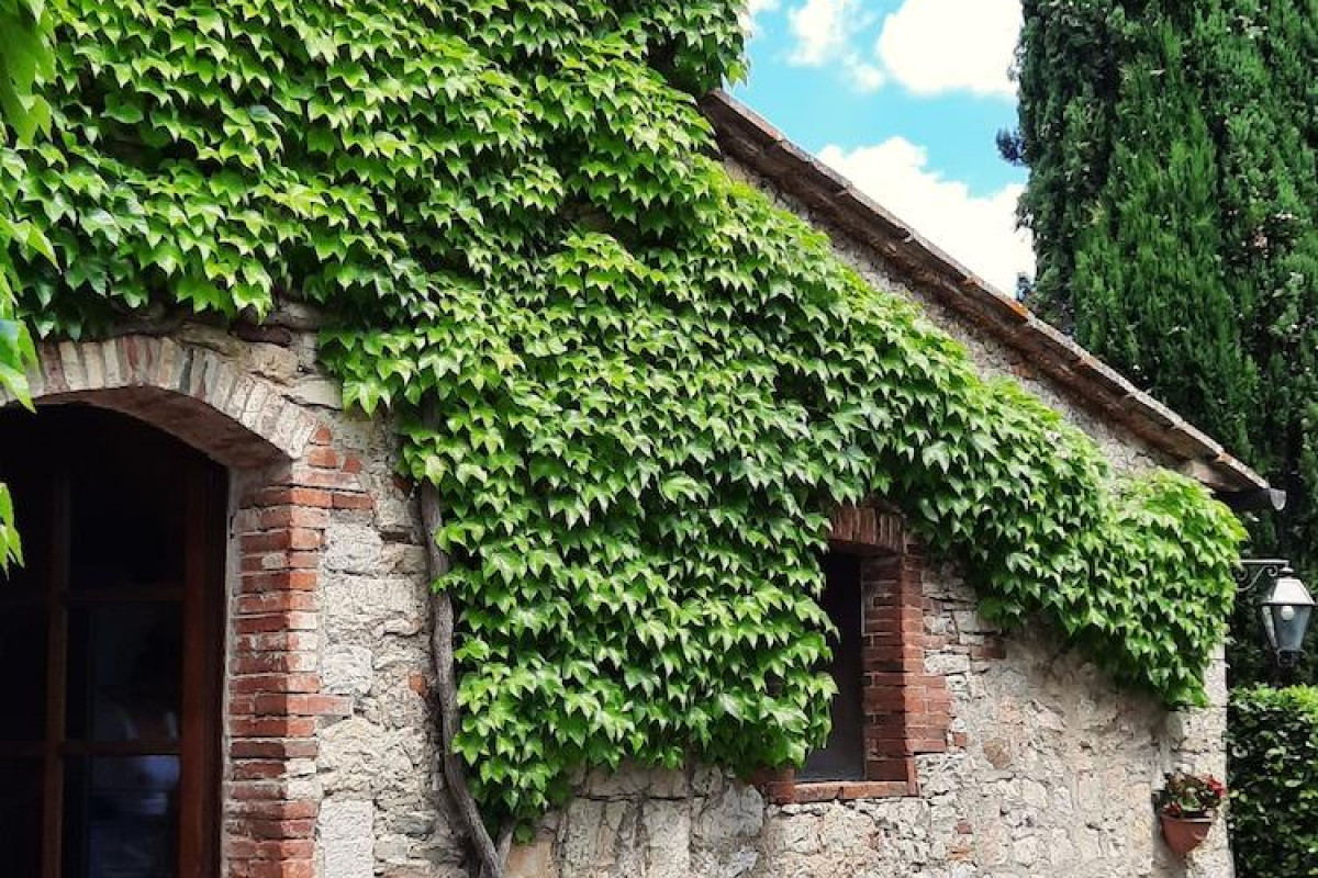 Borgo Livernano