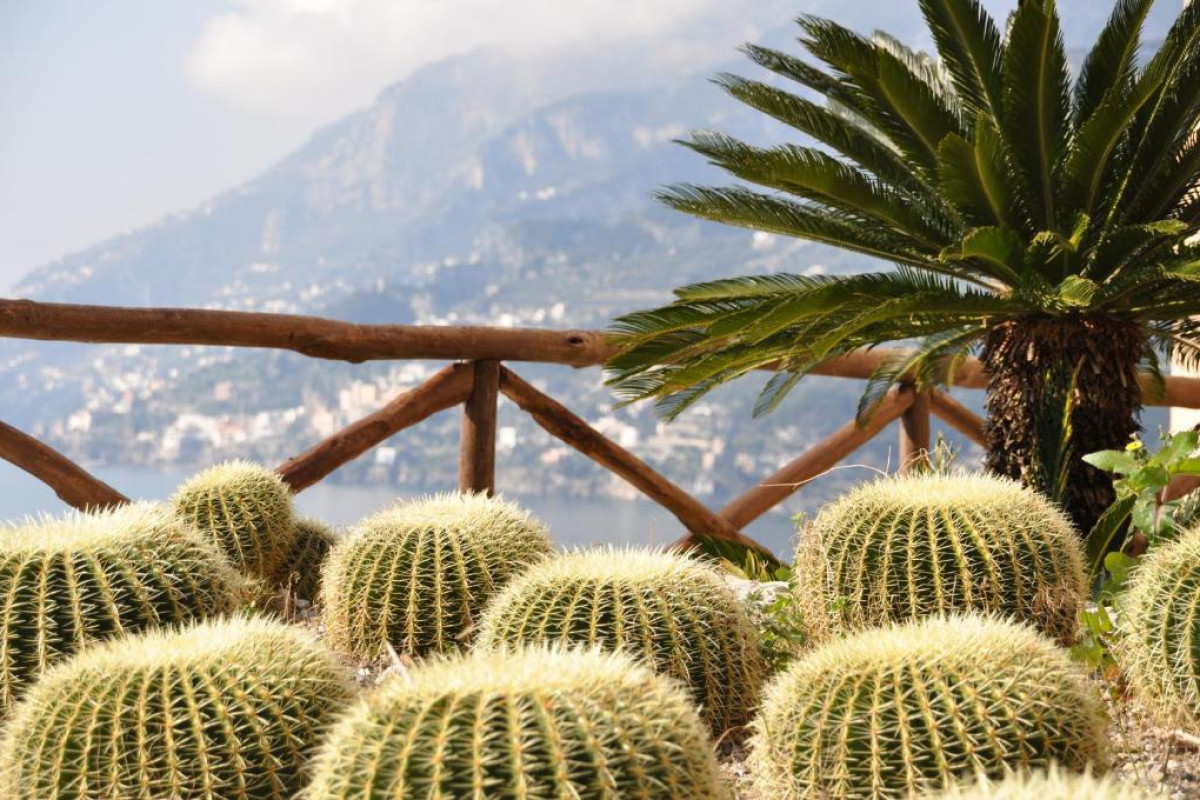 Botanico San Lazzaro