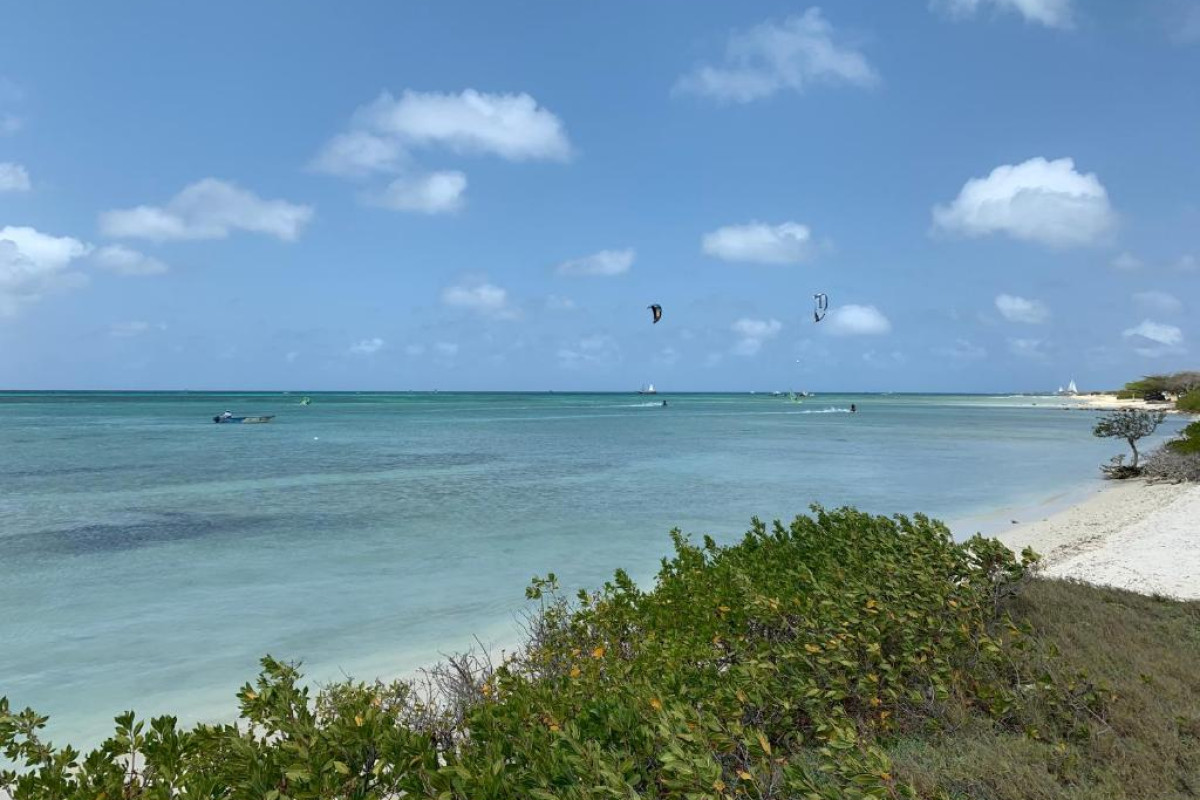 Boutique Hotel Swiss Paradise Aruba Villas and Suites