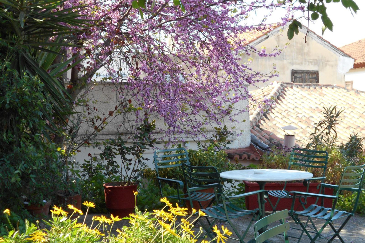 Byron Hotel