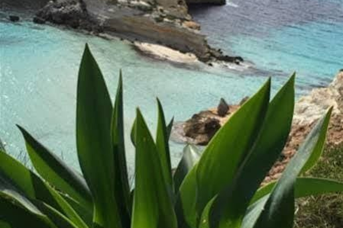 Cala Palme