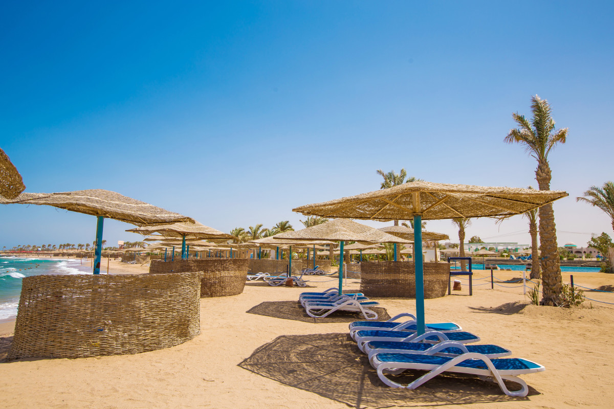 Calimera Blend Paradise