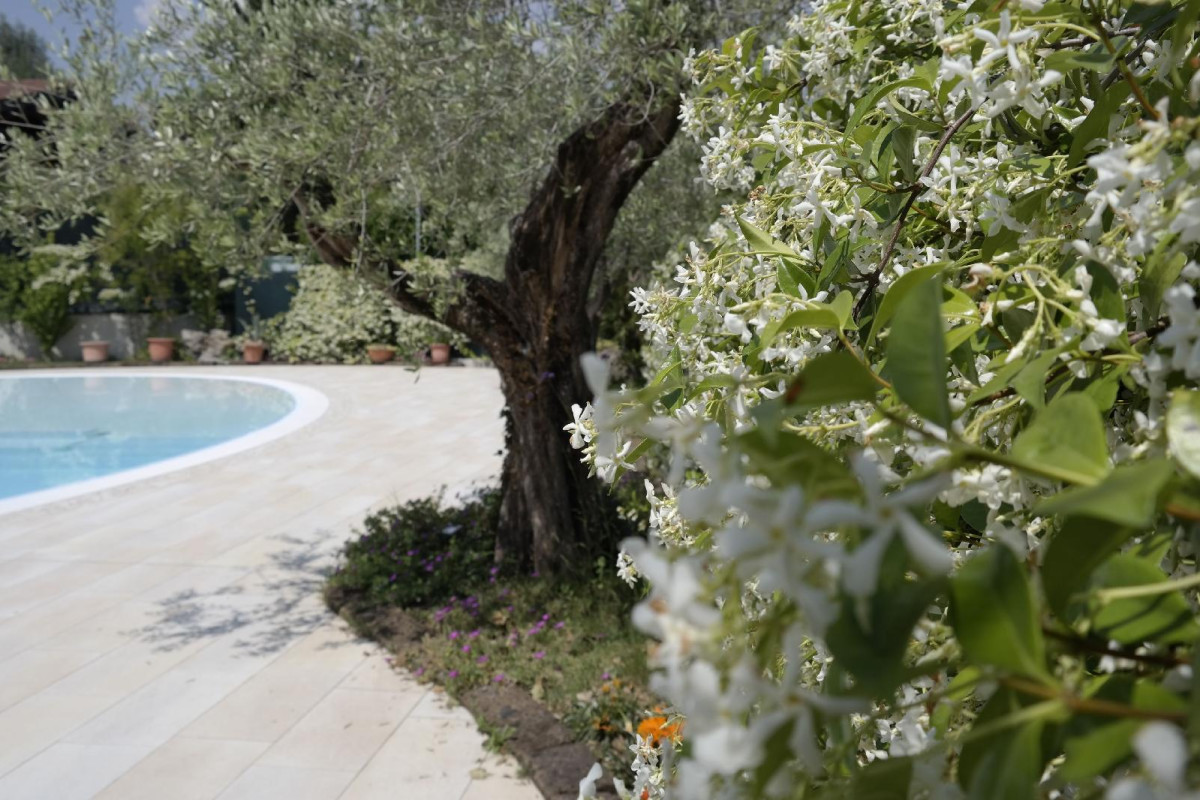 Campeggio Delle Rose