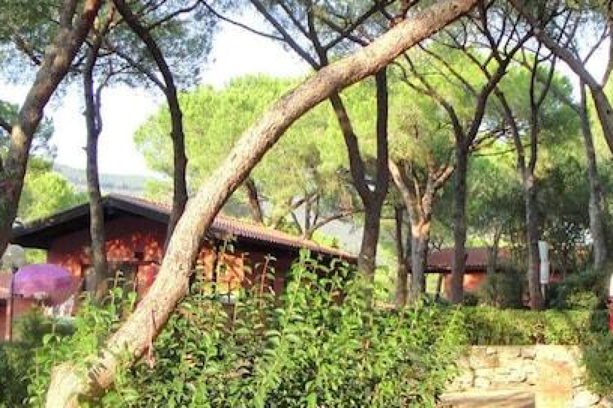 Camping Lacona Pineta