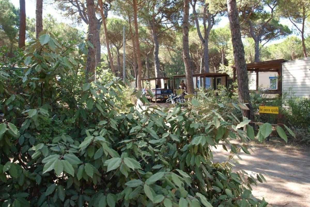 Camping Village Il Sole