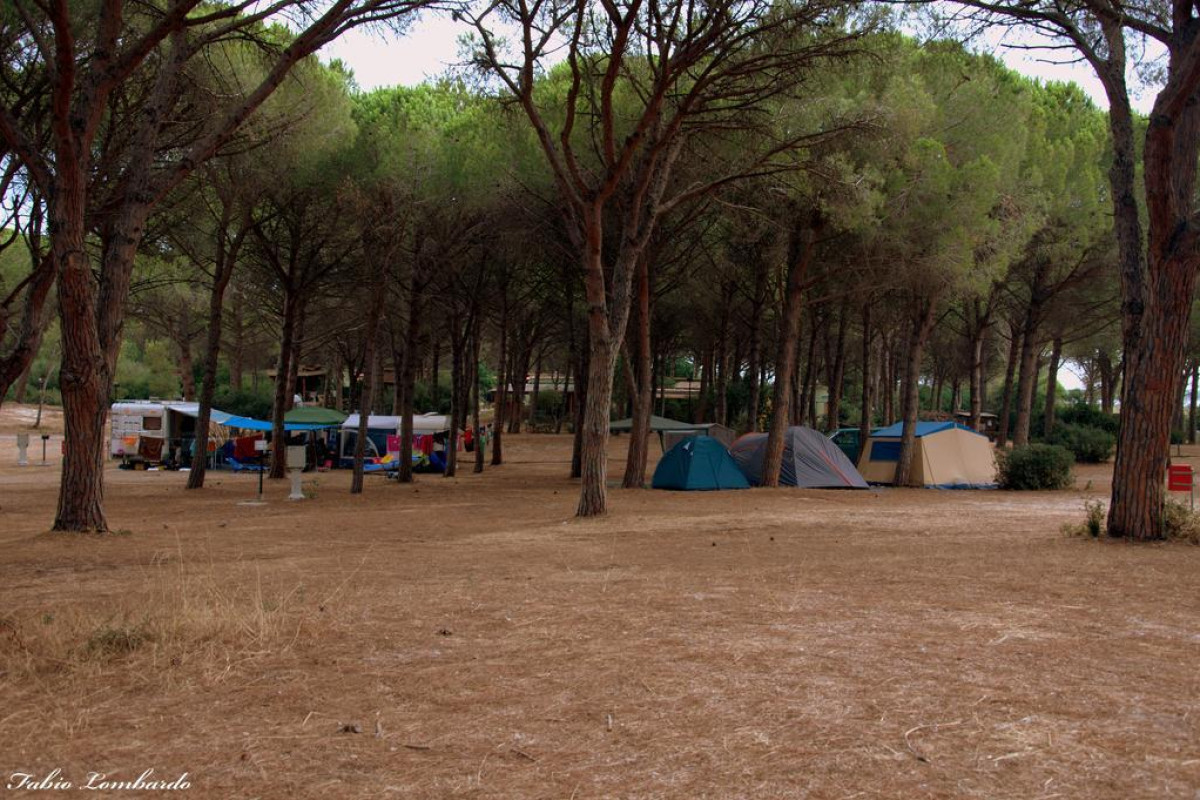 Camping Village S'ena Arrubia