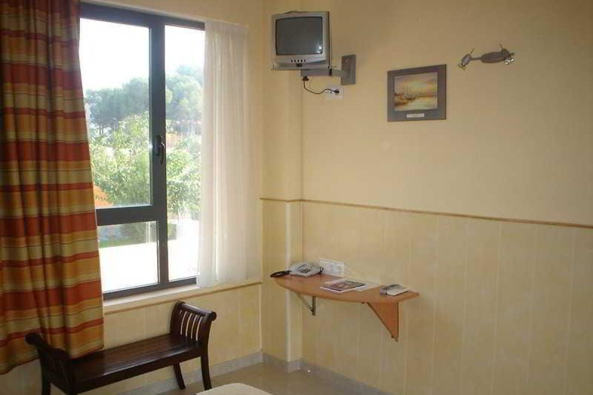 Campo Olivar