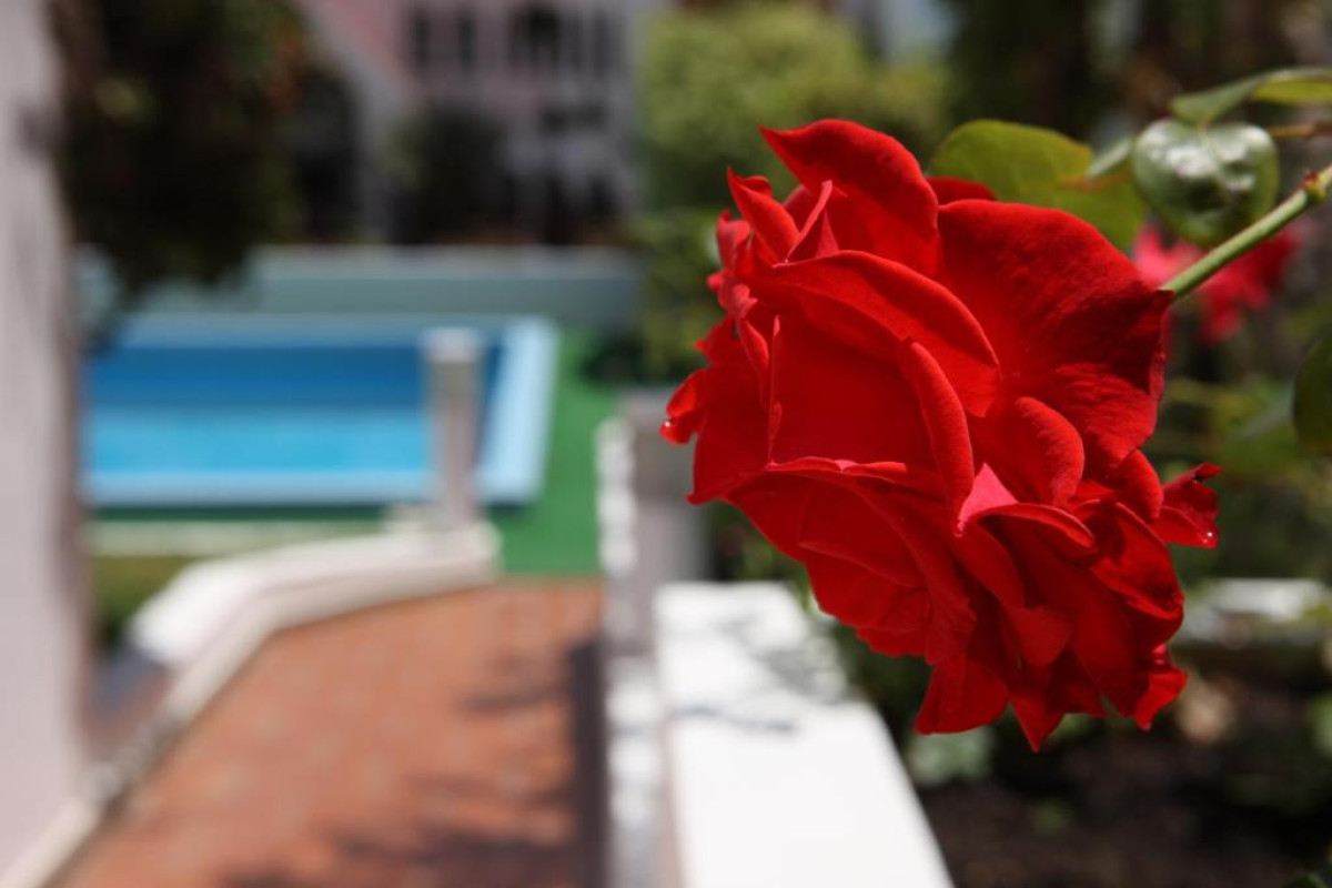 Hotel Canico Bay Club