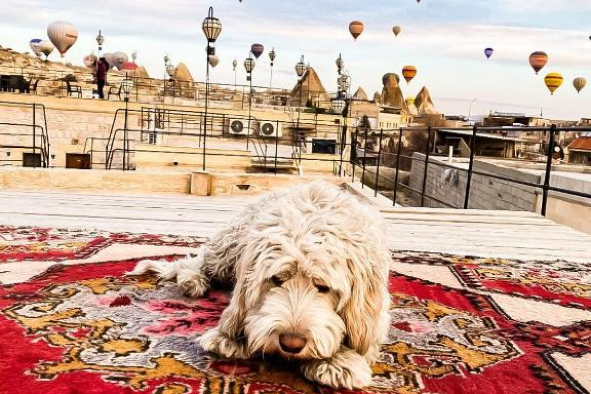 Hotel Cappadocia Caves