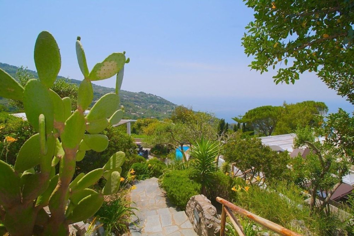 CAPRI DREAM