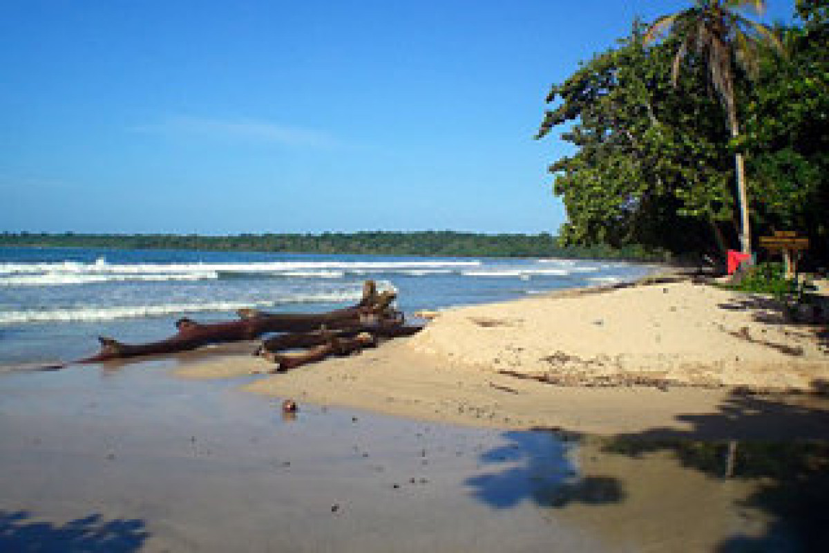 CARIBLUE BEACH AND JUNGLE RESORT