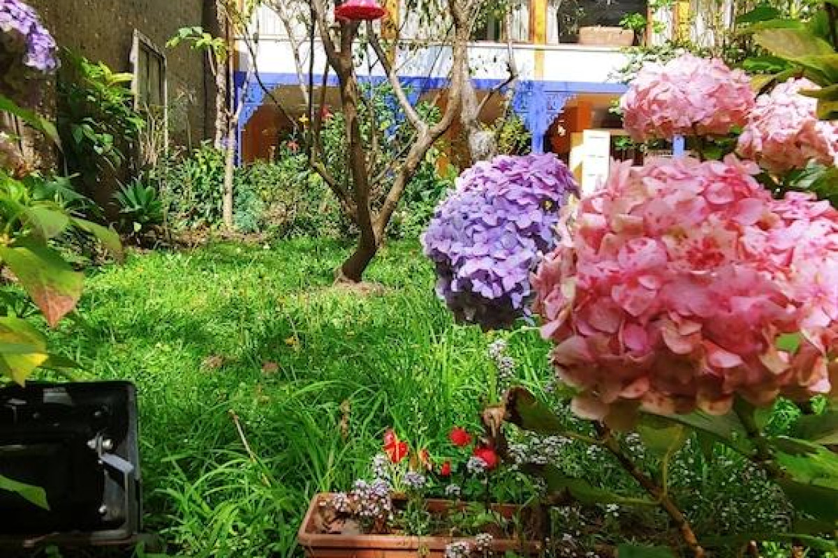 Casa Montalvo Bed & Breakfast