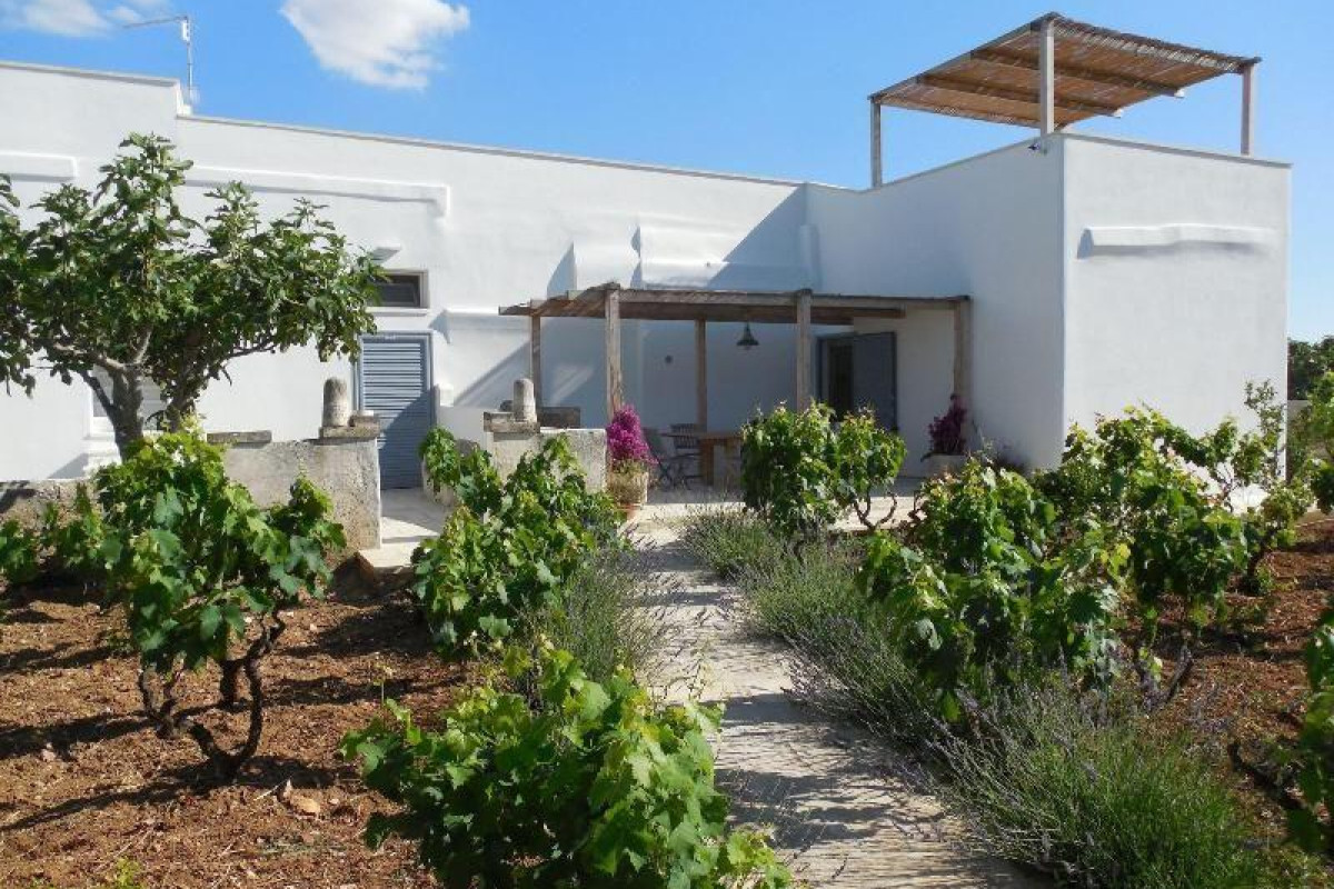 Casale Alle Vigne