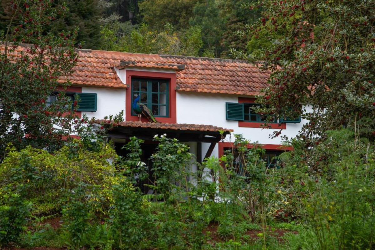 Casas Valle Paraizo