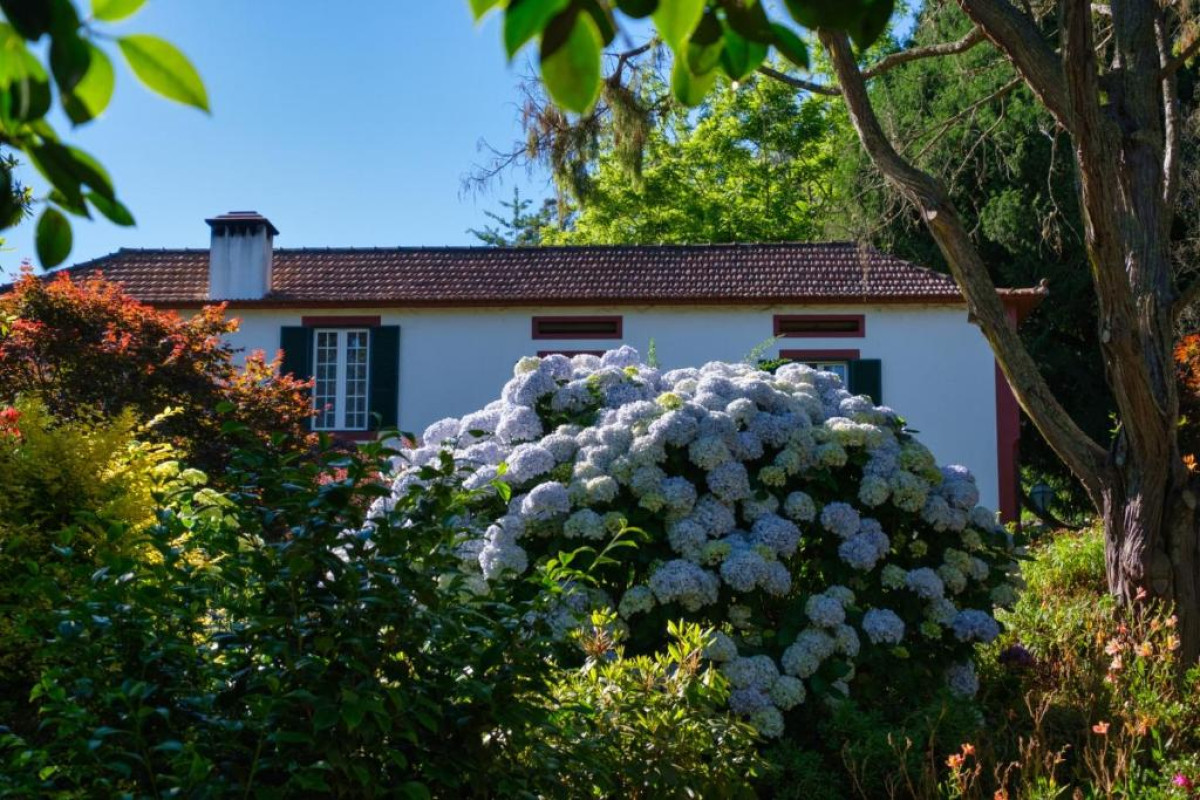 Casas Valle Paraizo