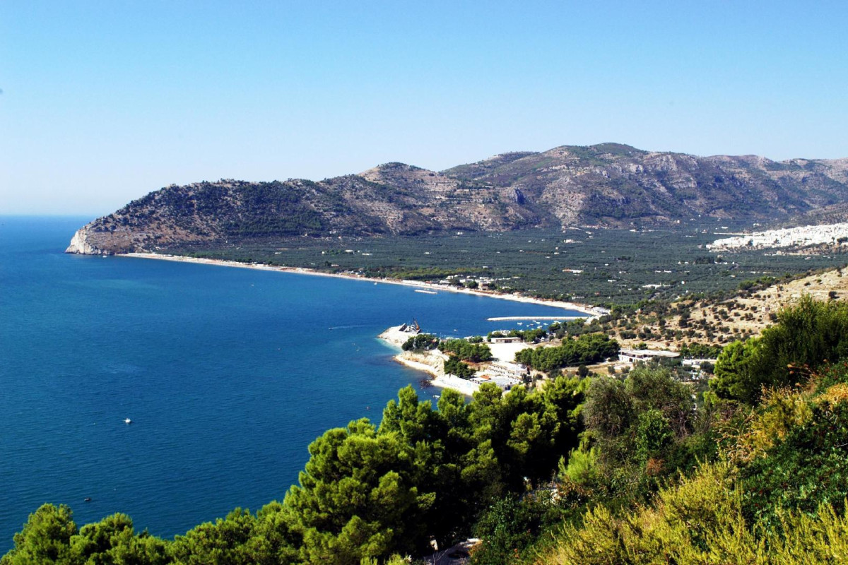 Case Vacanze L'uliveto