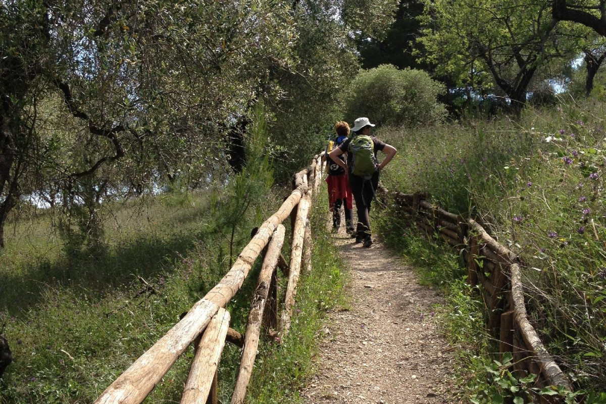 Case Vacanze L'uliveto