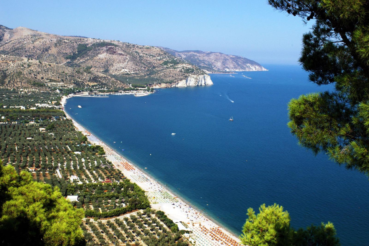Case Vacanze L'uliveto