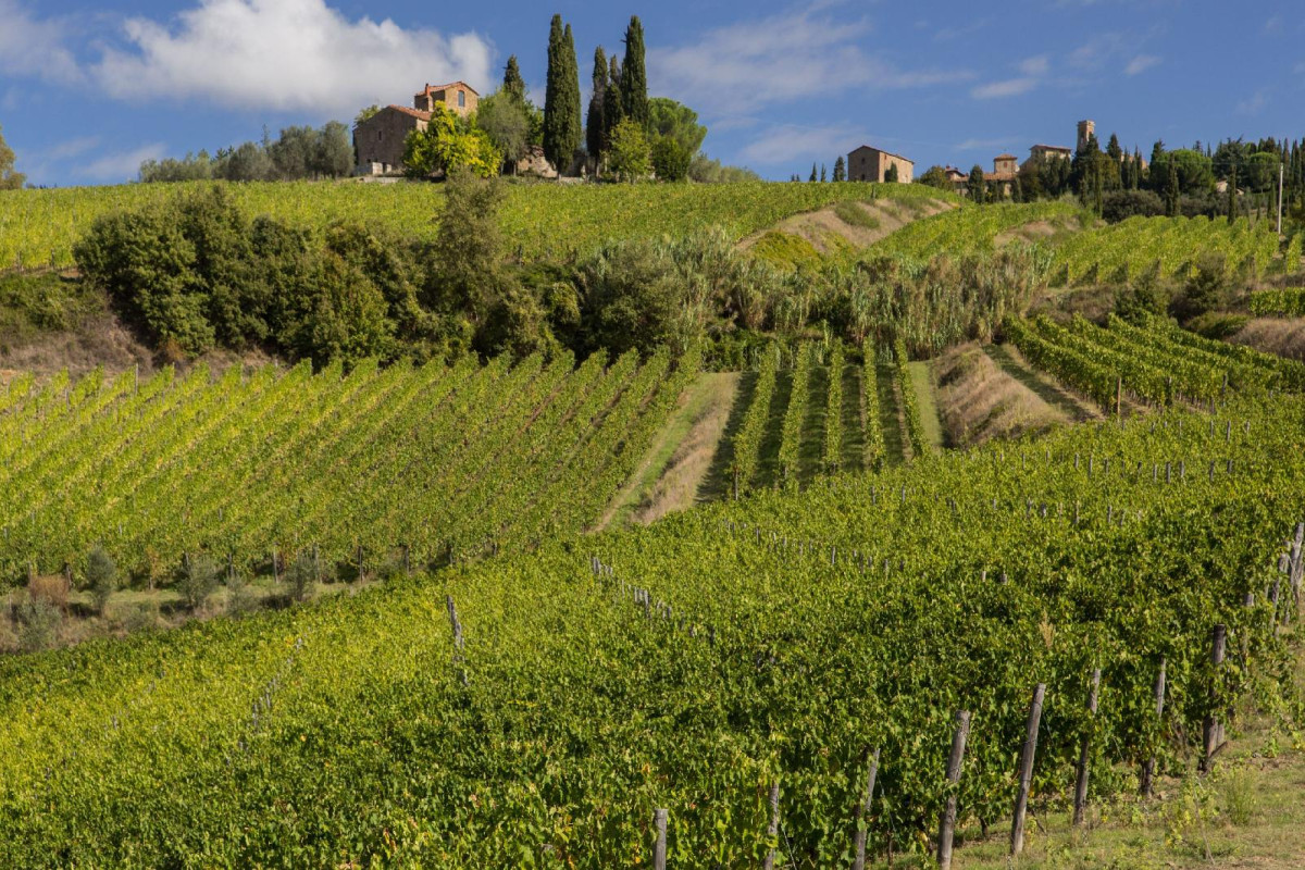 Castello Di Volpaia