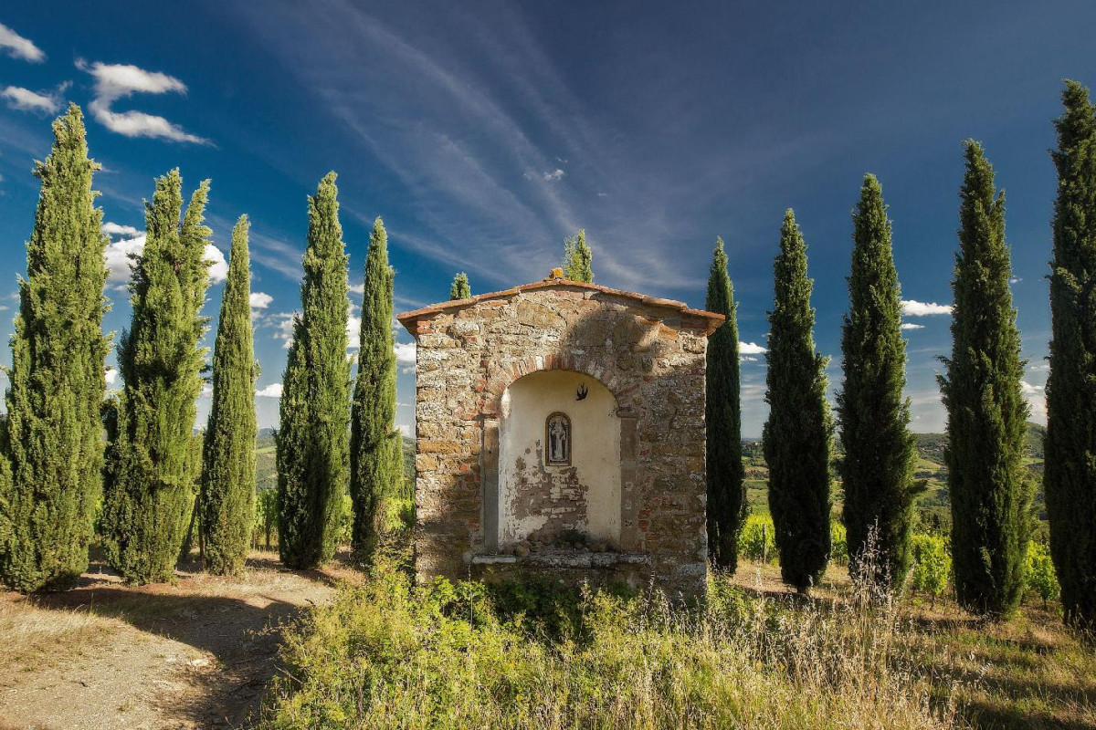 Castello Di Volpaia