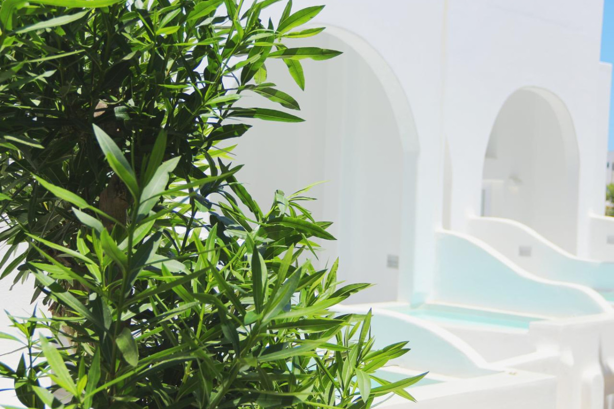 Cavo Bianco Santorini