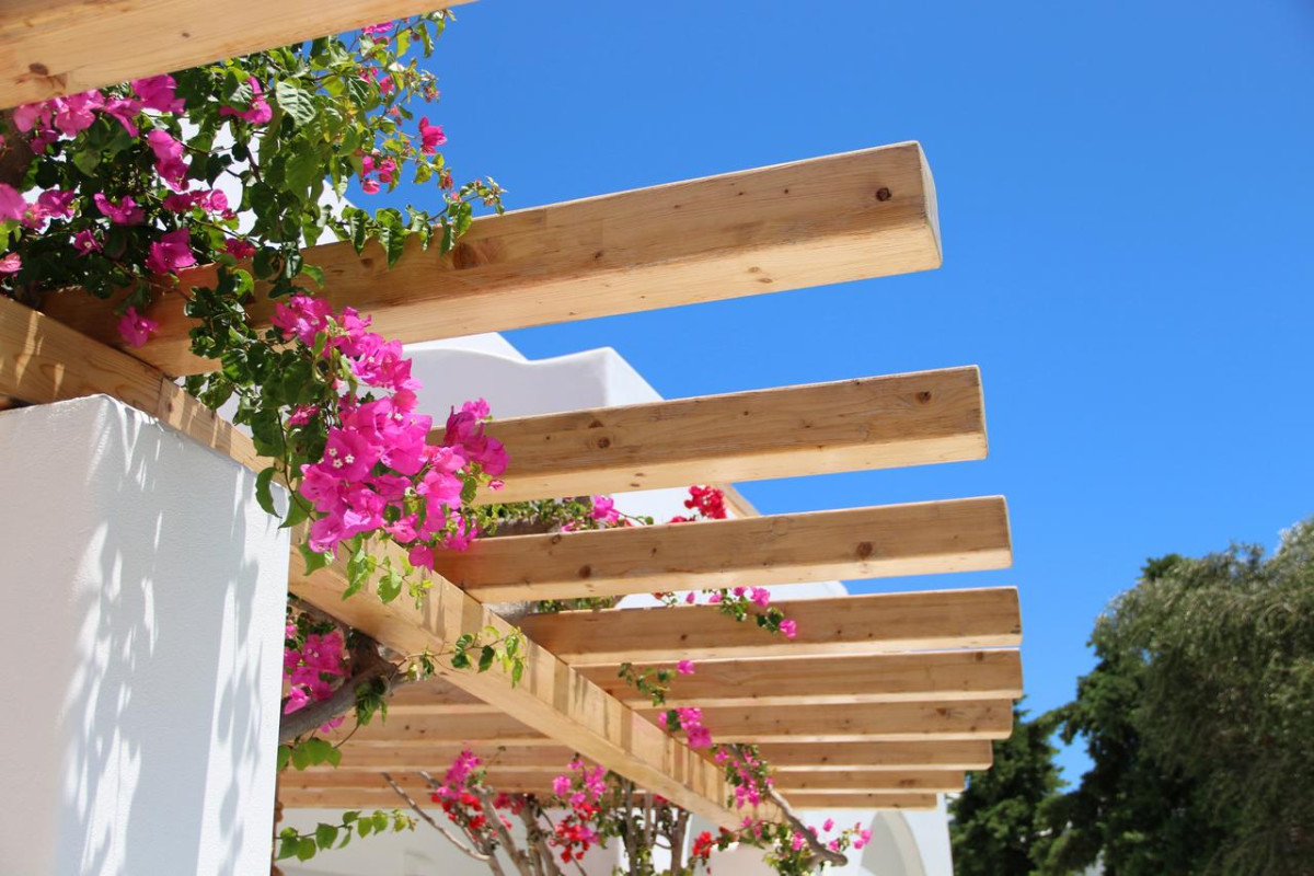 Cavo Bianco Santorini