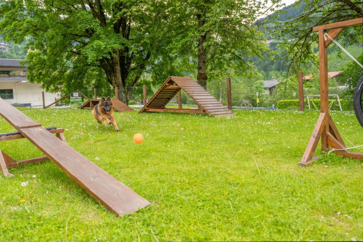 Cesta Grand Aktivhotel & Spa