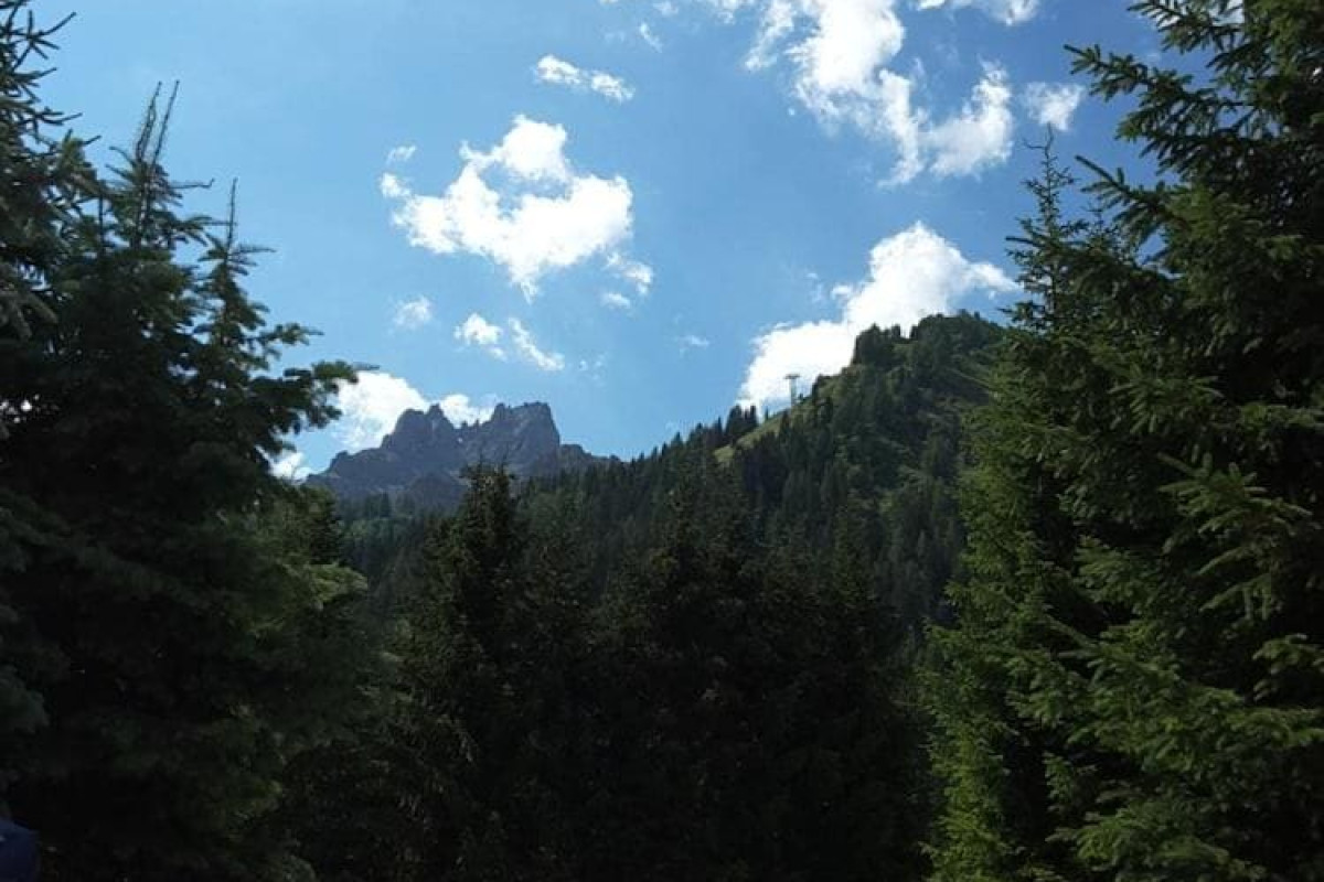 Chalet Brigitte