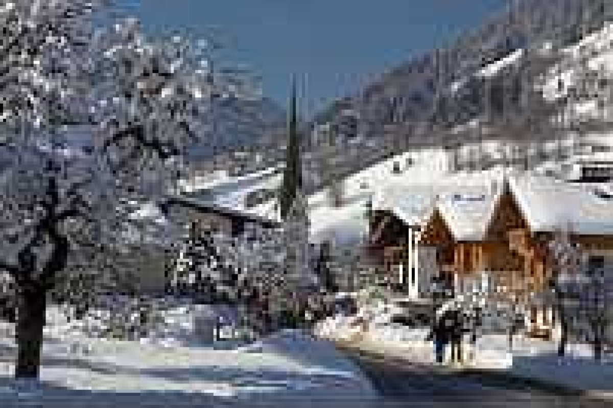 Chalets- Bungalows Almdorf Wildschonau