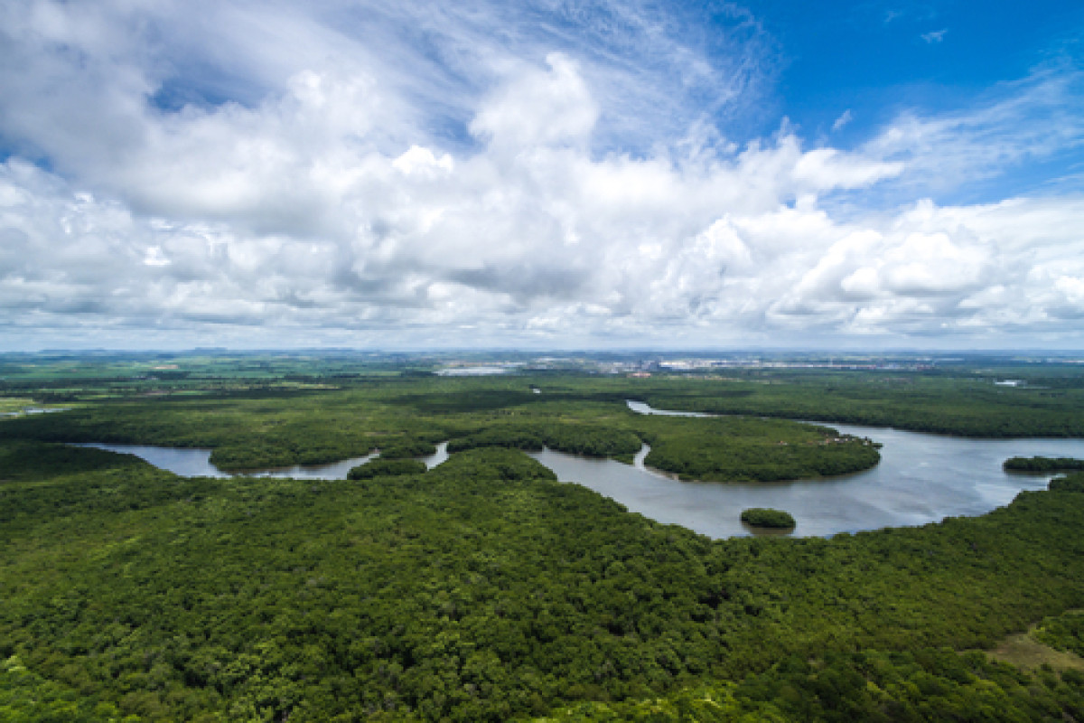 Circuit Brazilia