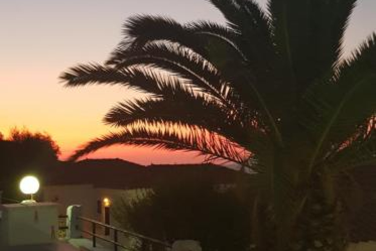Clara Resort