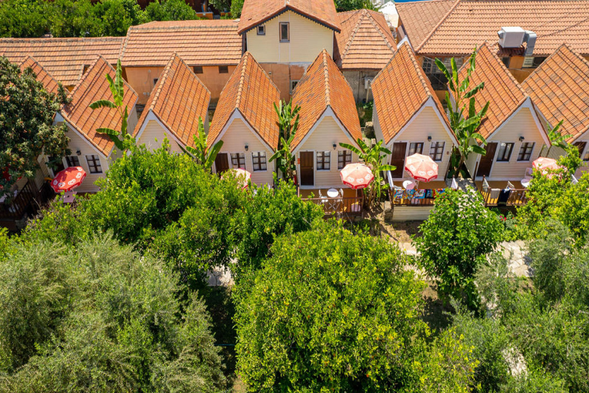 Clover Magic Nova Beach Hotel