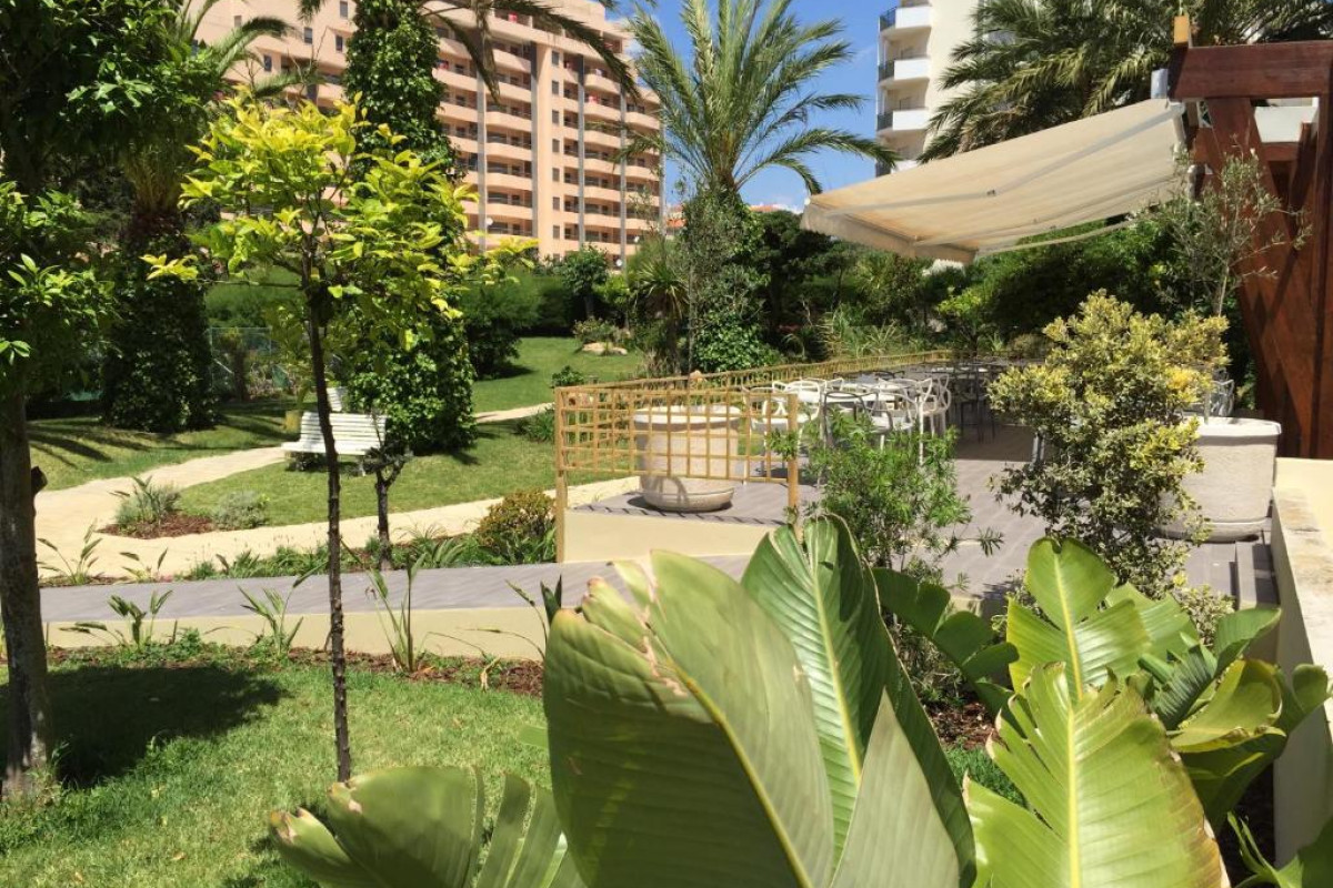 Club Amarilis