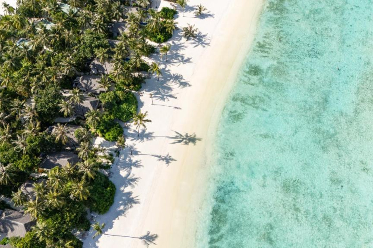 Cocoon Resort Maldives