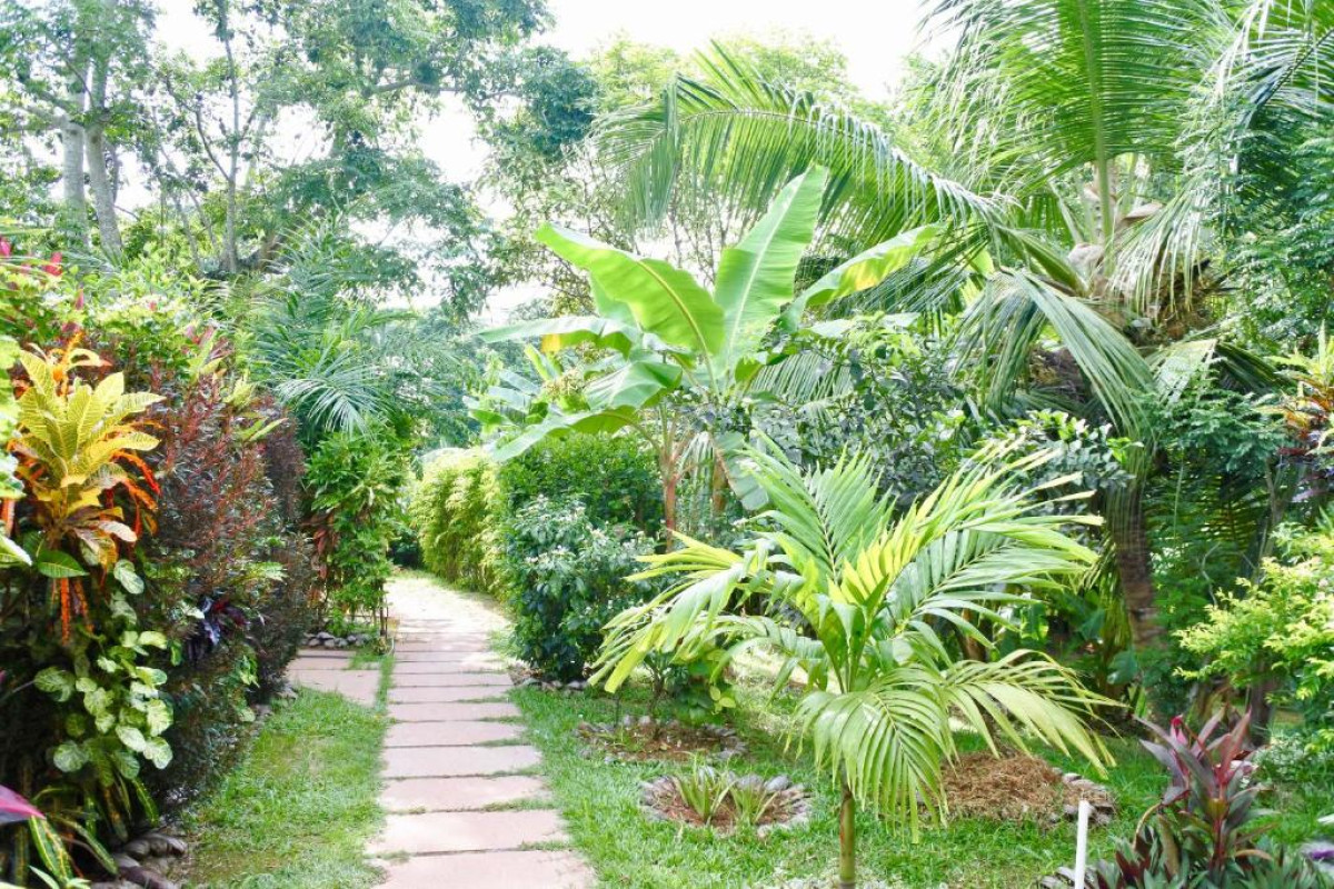 Cocotier Du Rocher Resort