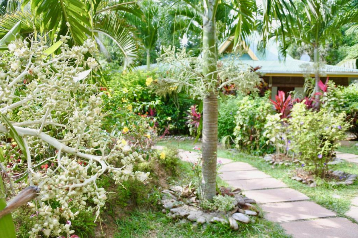 Cocotier Du Rocher Resort