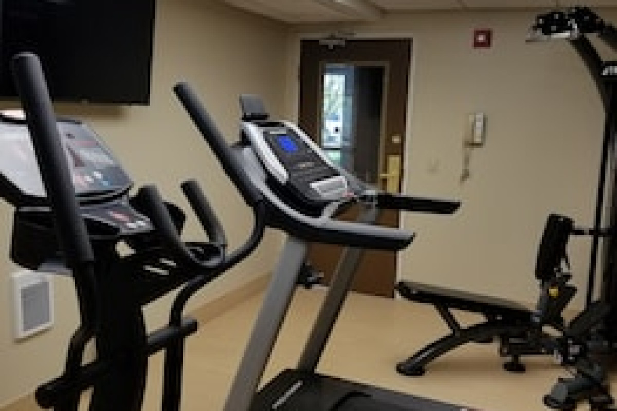 COMFORT INN & SUITES GENEVA - WEST CHICAGO