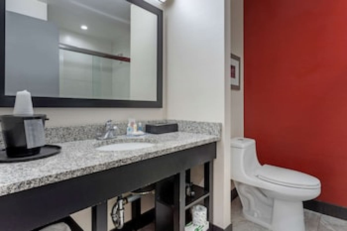 COMFORT INN & SUITES NEAR STADIUM