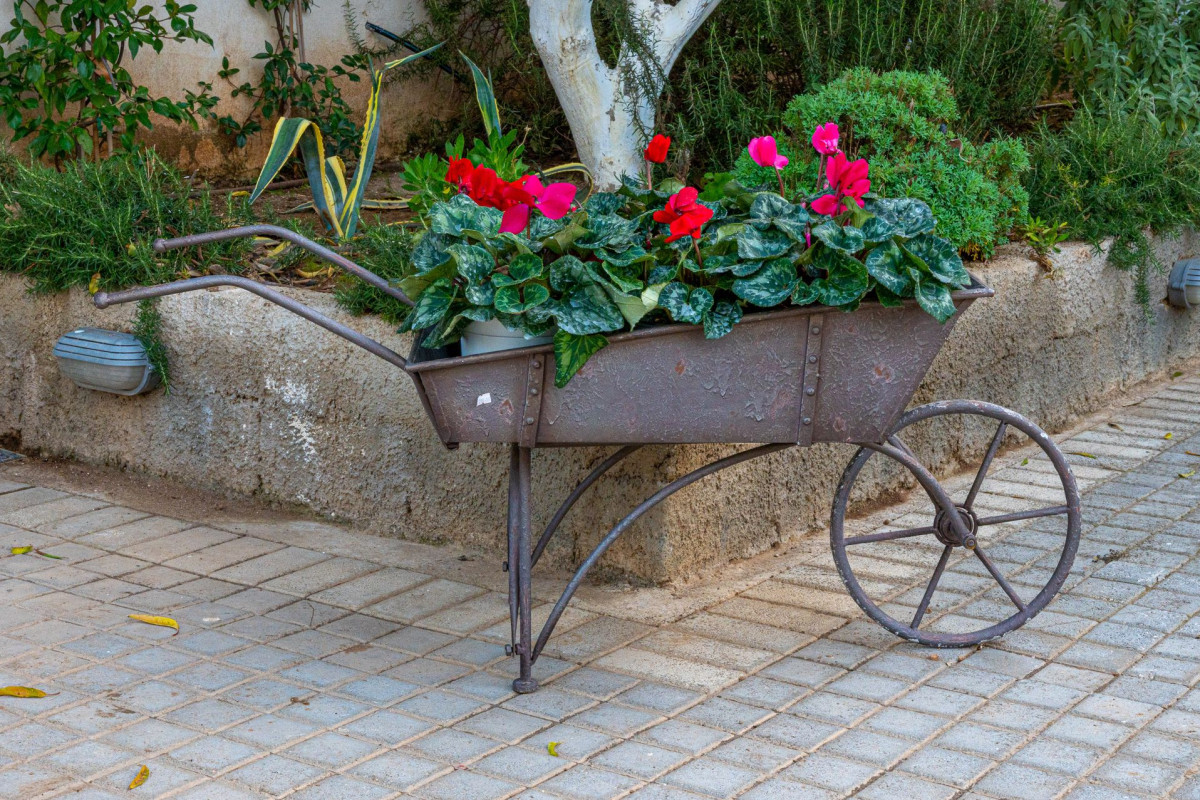 Comfort Stay Athens Airport Hotel