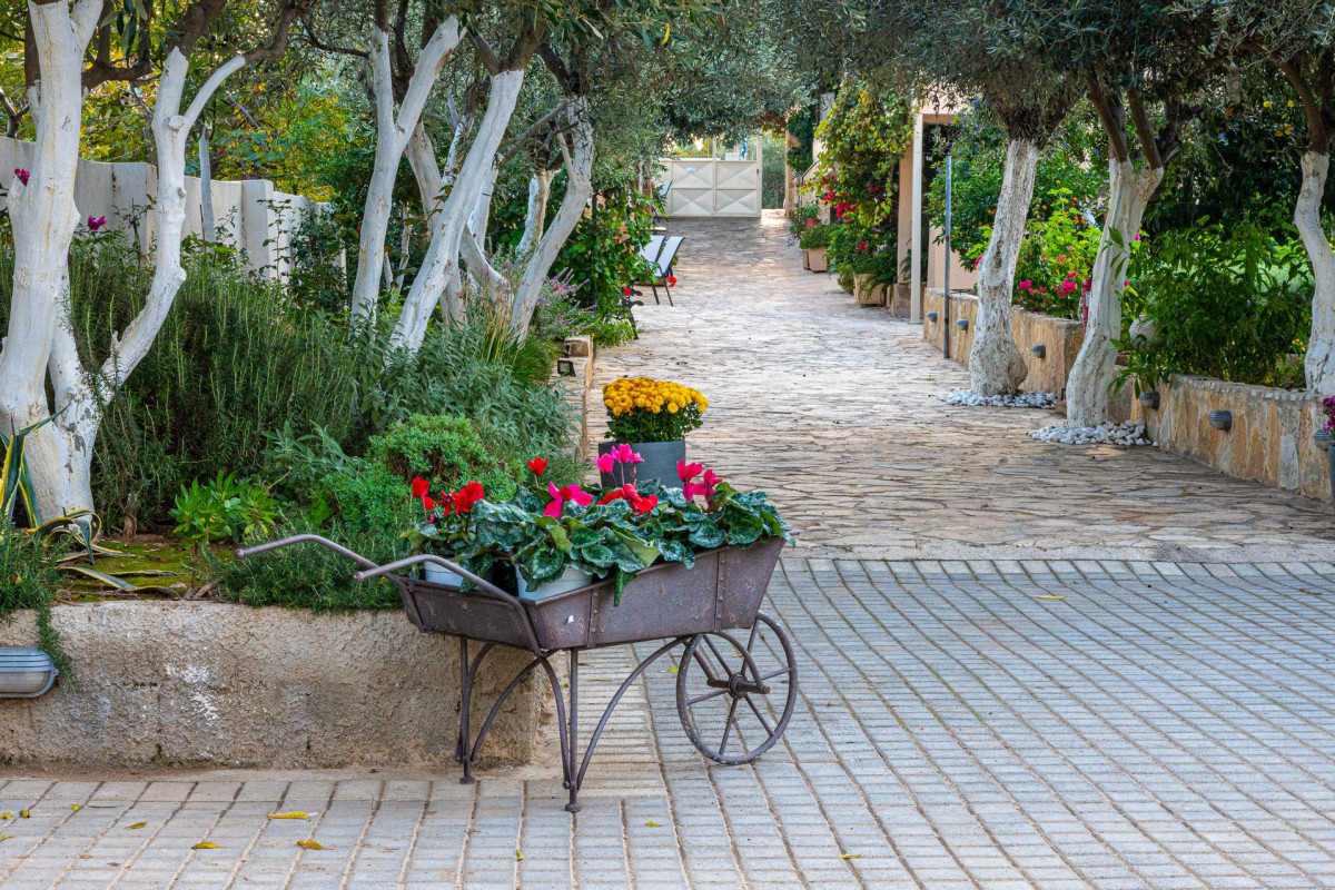 Comfort Stay Athens Airport Hotel