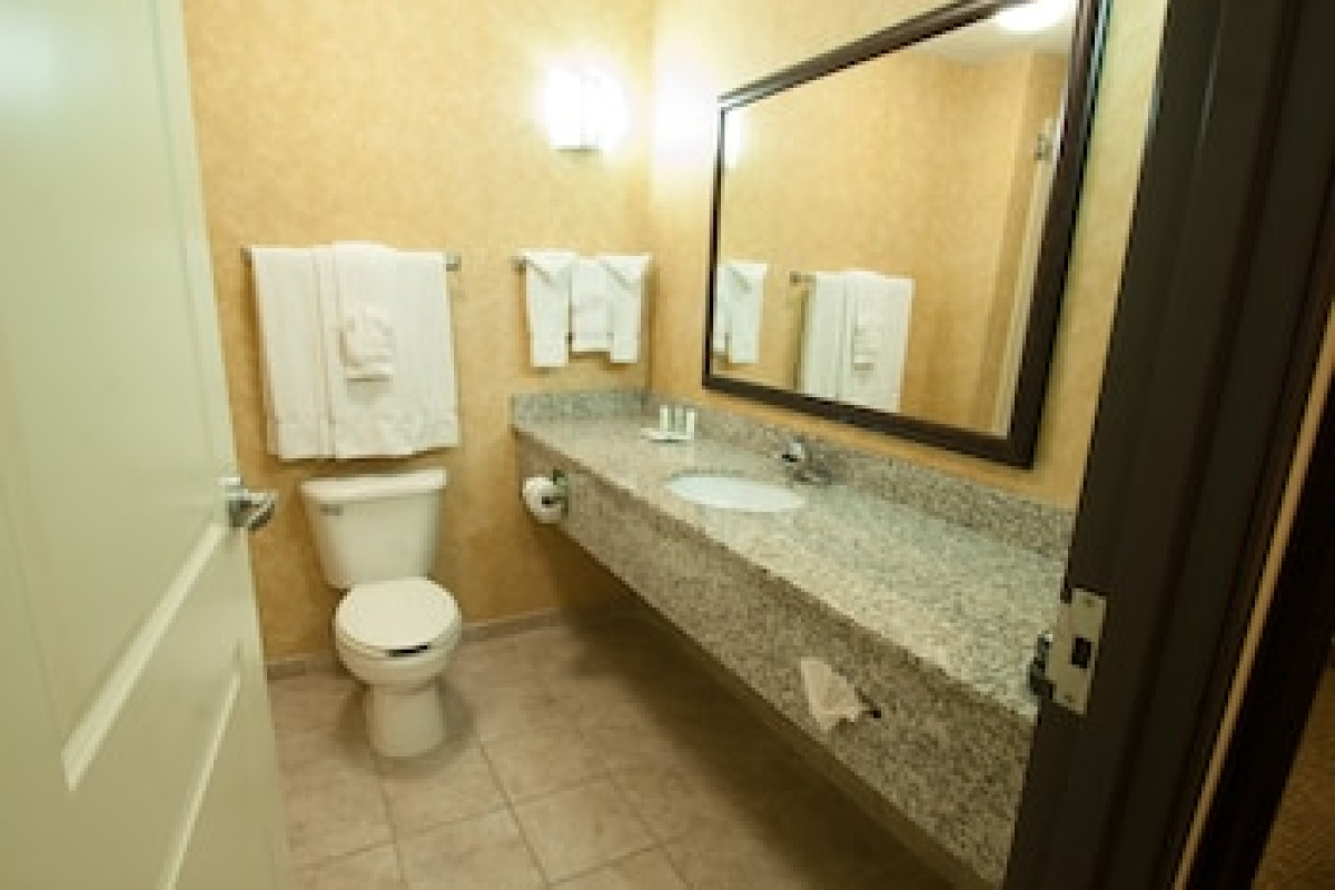 COMFORT SUITES SPEEDWAY - KANSAS CITY